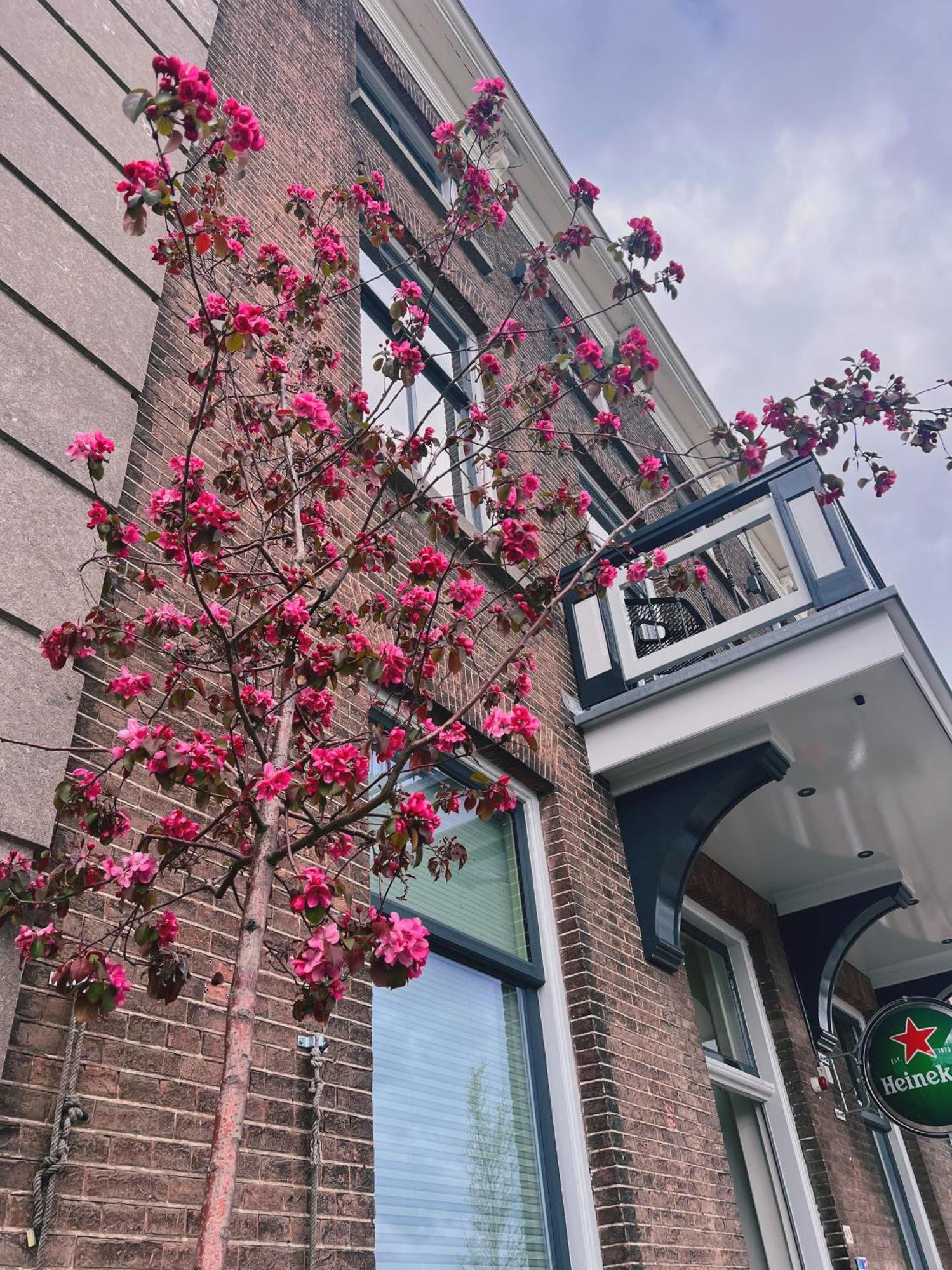 Loskade 45 Middelburg Exterior foto